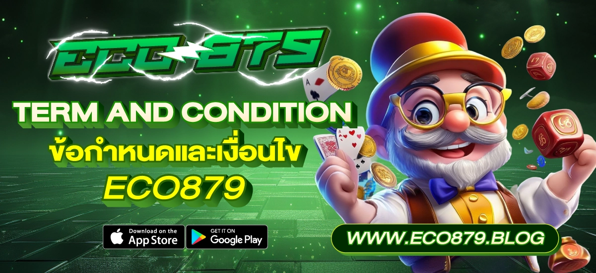Term and Condition Eco879